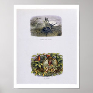 The Fairy Queen's Messenger, and Elf and Owls, ill Poster