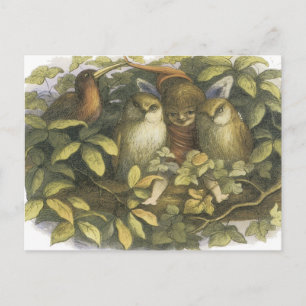 The Fairyland,1870 Fairy With Owls Postcard