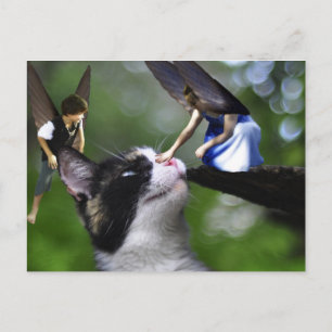 The Fairys and the Kitty Cat Post Card