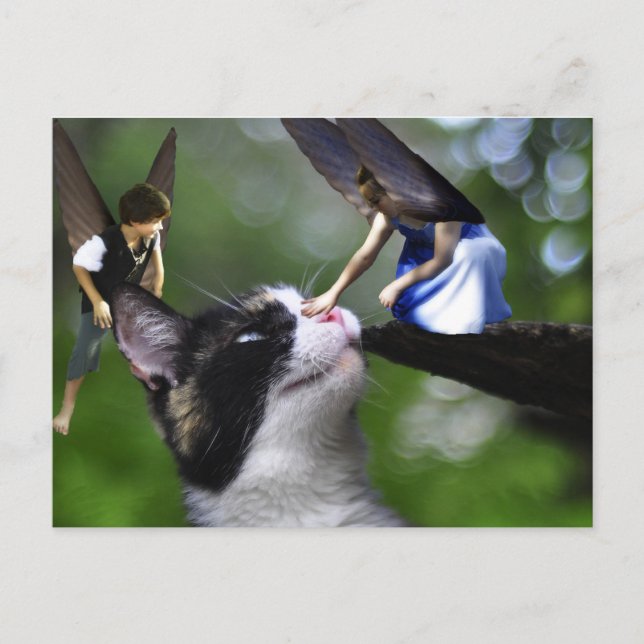 The Fairys and the Kitty Cat Post Card (Front)