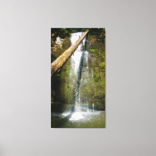 The Falls Canvas Print