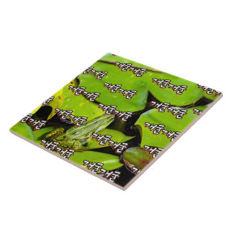 The Fascinating Word : “개굴개굴"(gae-gool gae-gool) Tile