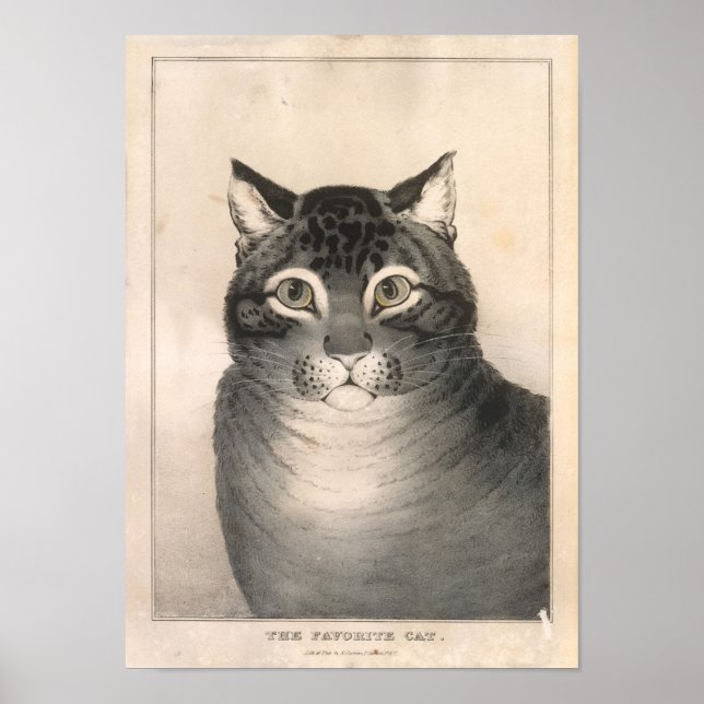 The Favorite Cat Lithograph - Nathaniel Currier Poster (Front)