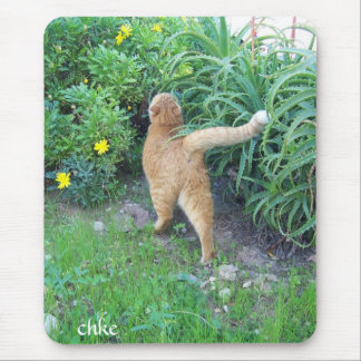 The favorite of the district mouse mat