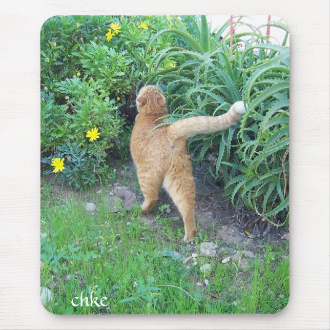 The favorite of the district mouse mat (Front)