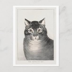 The Favourite Cat (1838–48) Lithograph Postcard