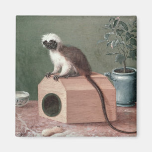 The Favourite Monkey of Carl Linnaeus Magnet