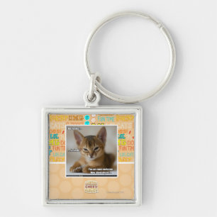 The feather is dead. key ring