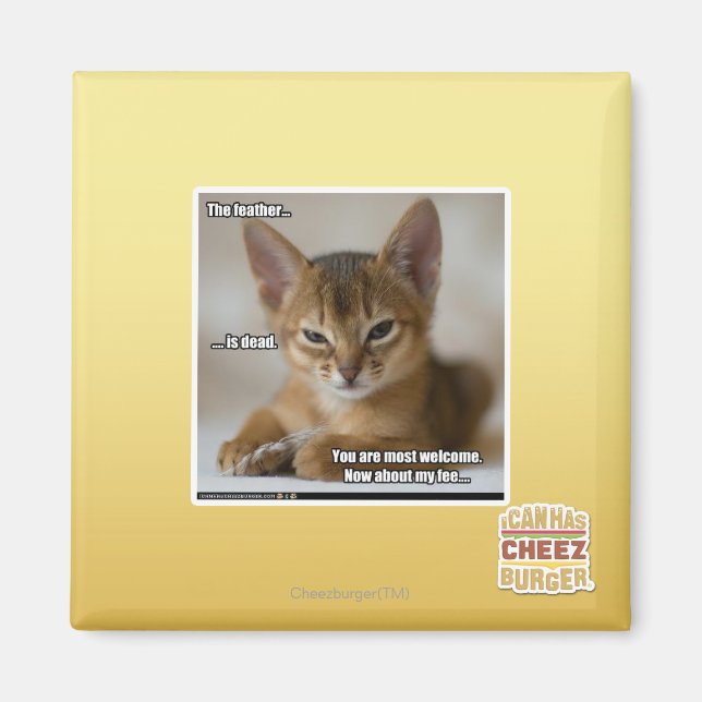 The feather is dead. magnet (Front)