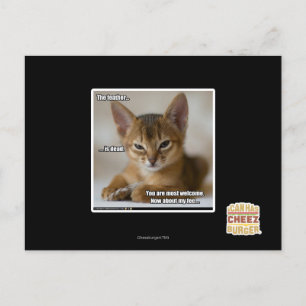 The feather is dead. postcard