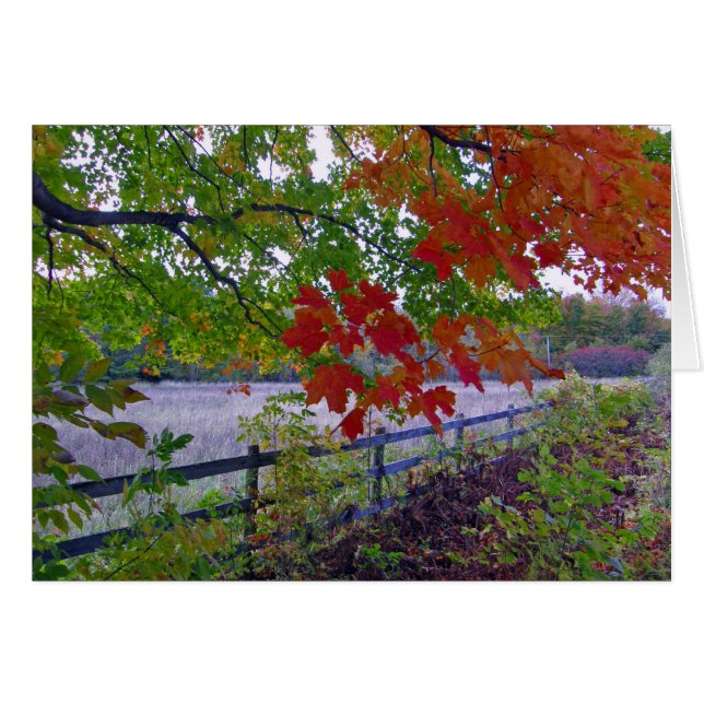 The Fence (Front Horizontal)