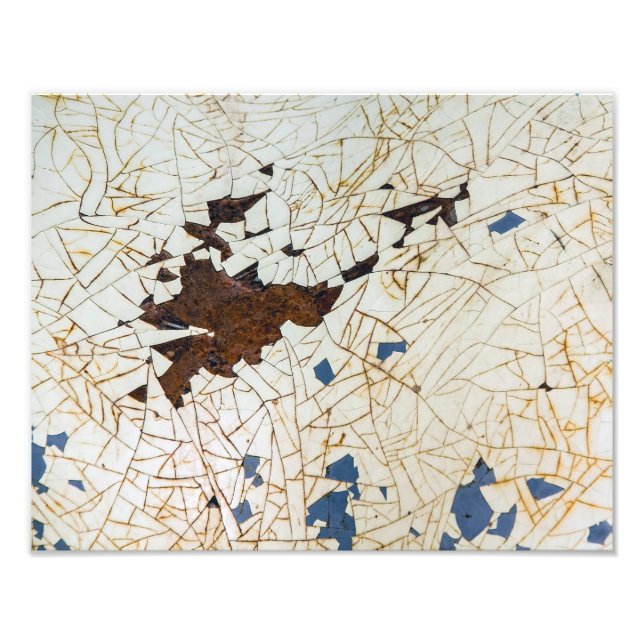 The Fender Craze Photo Print (Front)