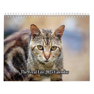 The Feral LIfe Photo Cats 2025 Calendar