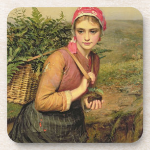 The Fern Gatherer Coaster