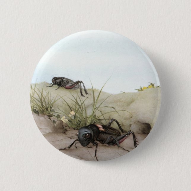 THE FIELD CRICKET 6 CM ROUND BADGE (Front)