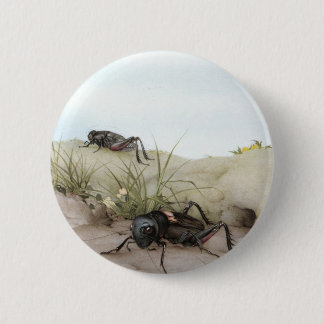 THE FIELD CRICKET 6 CM ROUND BADGE