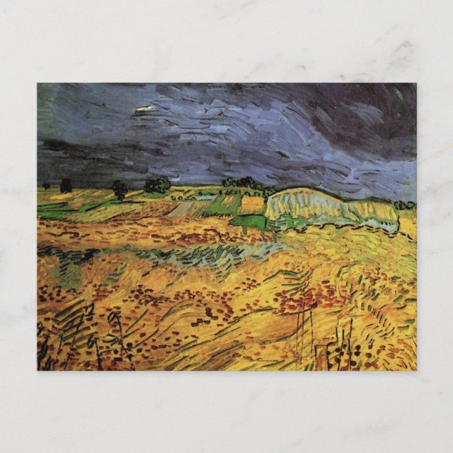 The Fields by Vincent van Gogh Postcard (Front)