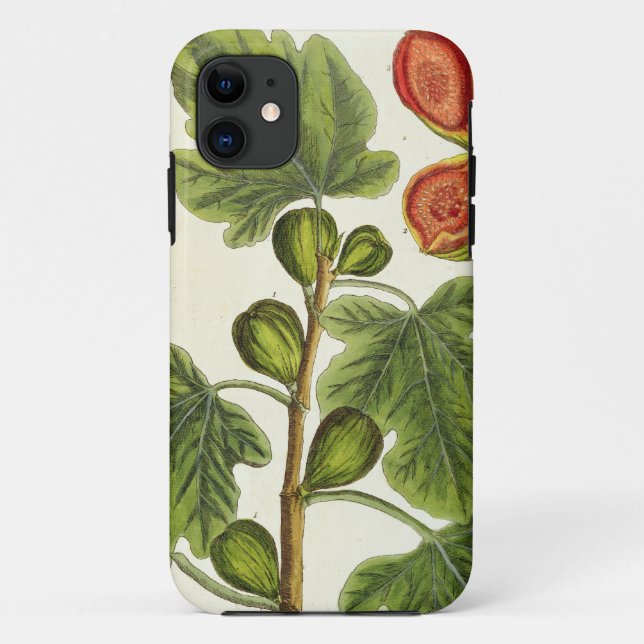 The Fig Tree, plate 125 from 'A Curious Herbal', p Case-Mate iPhone Case (Back)