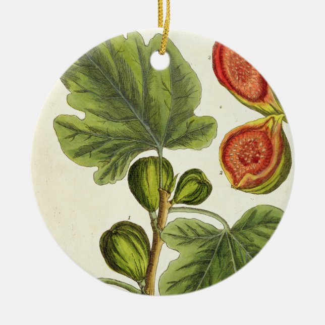 The Fig Tree, plate 125 from 'A Curious Herbal', p Ceramic Tree Decoration (Front)