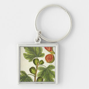 The Fig Tree, plate 125 from 'A Curious Herbal', p Key Ring