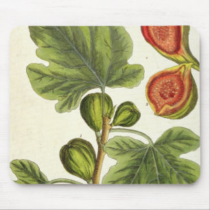 The Fig Tree, plate 125 from 'A Curious Herbal', p Mouse Mat