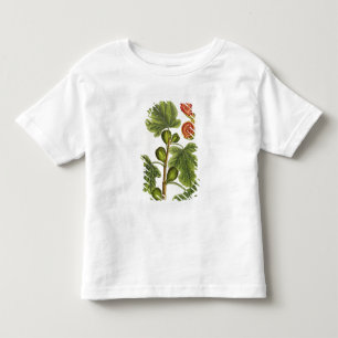 The Fig Tree, plate 125 from 'A Curious Herbal', p Toddler T-Shirt