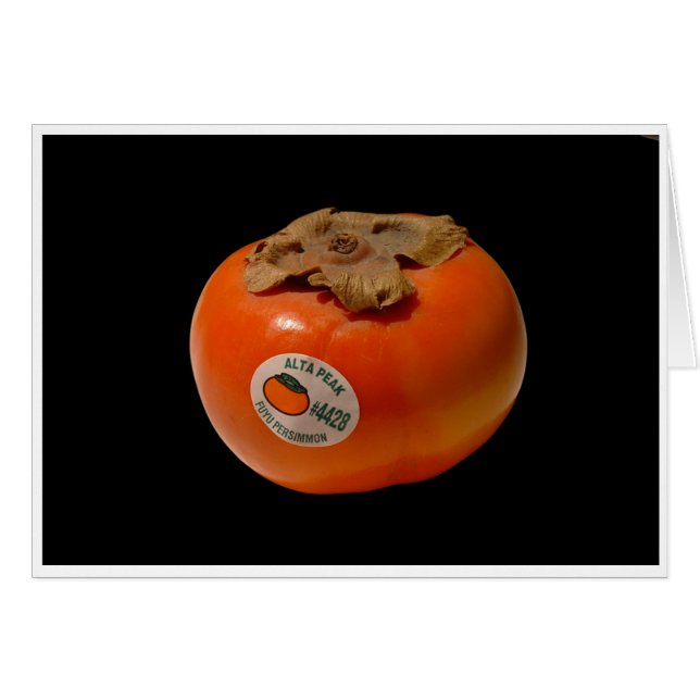 The Fire of Zeus (Front Horizontal)