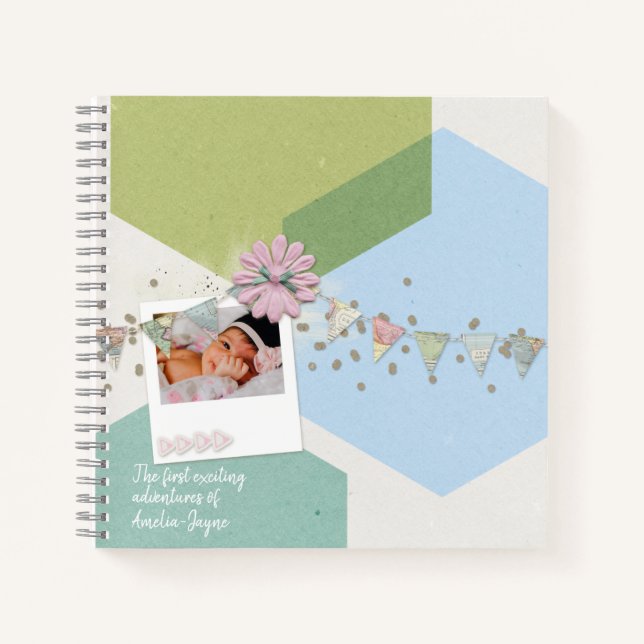 The First Exciting Adventures of Baby Memory Book (Front)