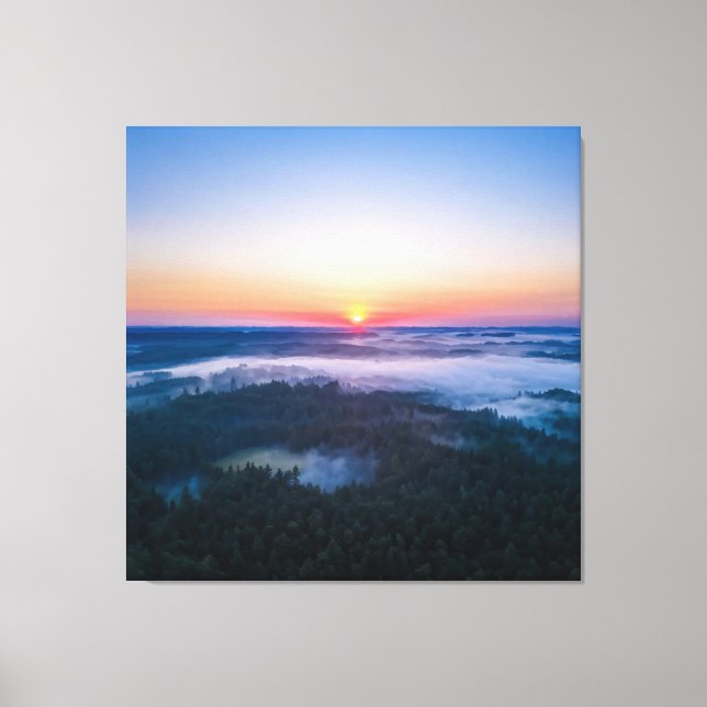The first light of dawn illuminating the forest canvas print (Front)