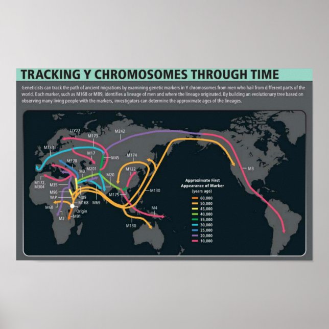 The first migration Poster (Front)