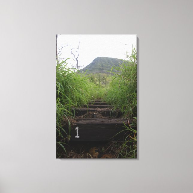 The first step invites hikers up Koko Crater Canvas Print (Front)