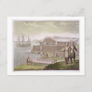 The fishing industry, Newfoundland, from 'Le Costu Postcard