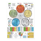 The Five Elements of Acupuncture Poster 18" X 24" 