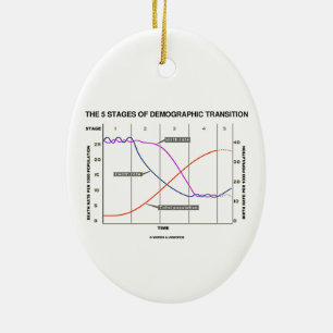 The Five Stages Of Demographic Transition Ceramic Tree Decoration