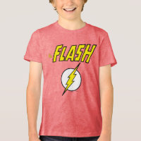The Flash Name & Lightning Bolt Logo