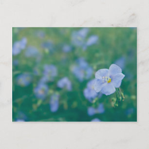 The Flax Fairy Postcard