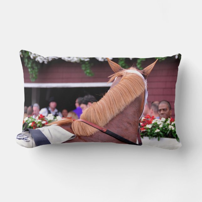 The Flaxen "All Included" Lumbar Cushion (Front)