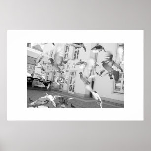 The Flock - Framed Print