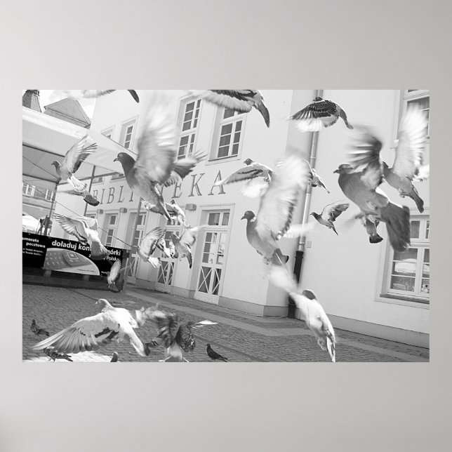 The Flock Poster (Front)