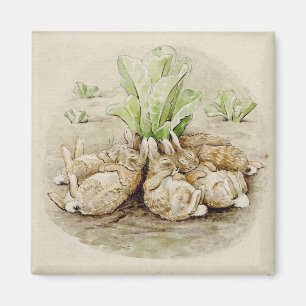The Flopsy Bunnies Asleep (by Beatrix Potter) Magnet