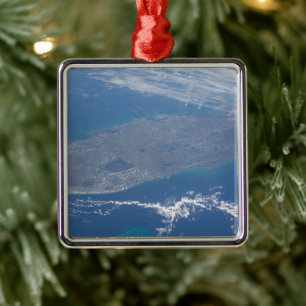 The Florida Peninsula. Metal Tree Decoration