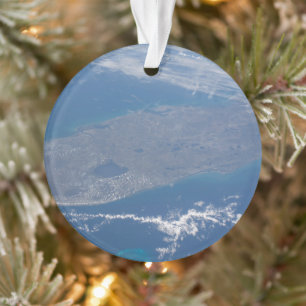 The Florida Peninsula. Ornament