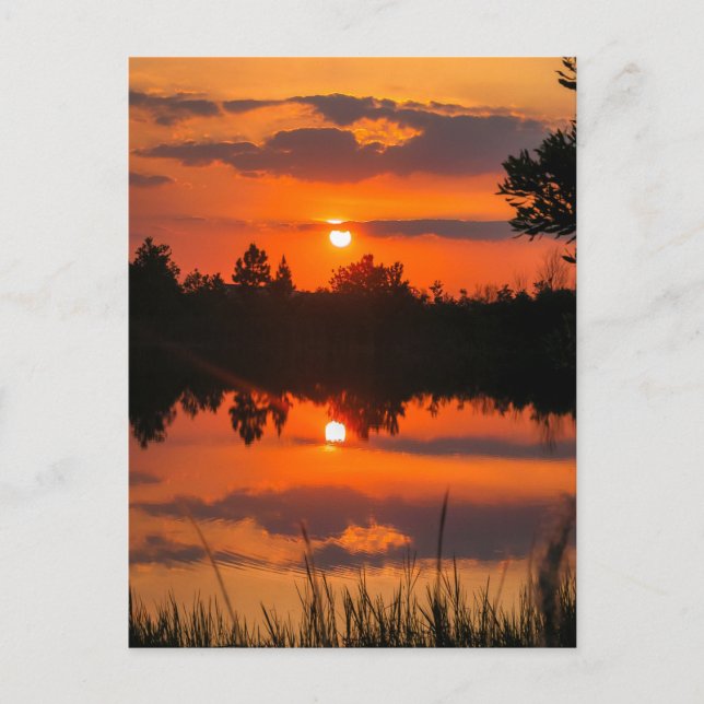 The Florida Sky #5 Postcard (Front)