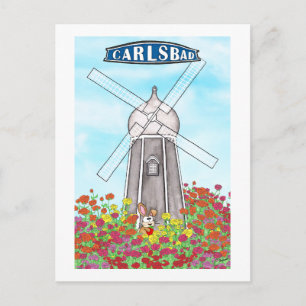 The Flower Fields of Carlsbad California Postcard