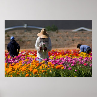 The Flower Pickers Poster
