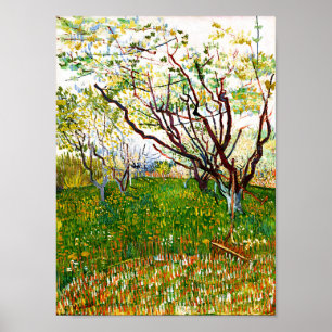 The Flowering Orchard (1888) by Vincent Van Gogh Poster
