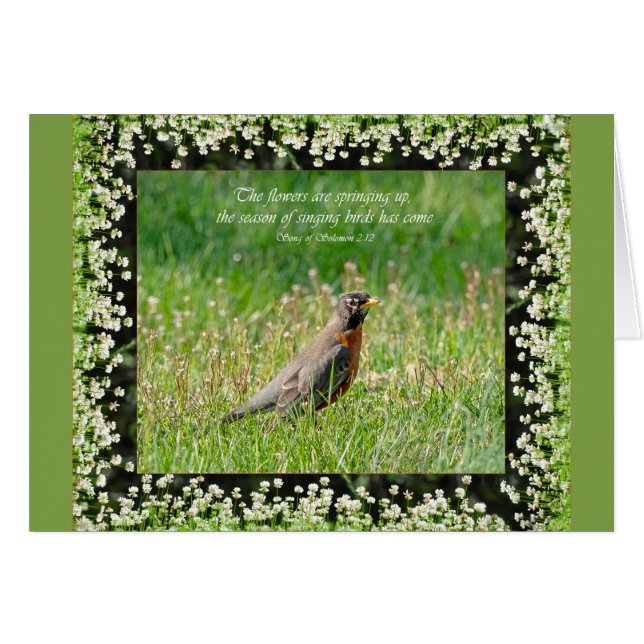 The flowers are springing up Parakaleo note card (Front Horizontal)