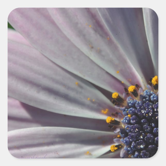 The Flowers Within Square Sticker (Front)