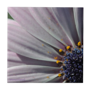 The Flowers Within Tile