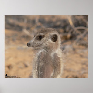 The Fluffernutter Collection - Daydreaming Poster